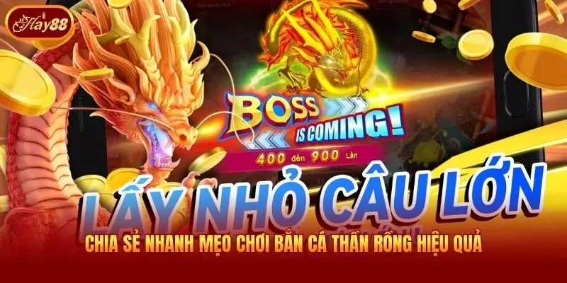 Chia sẻ nhanh mẹo chơi bắn cá Thần Rồng hiệu quả