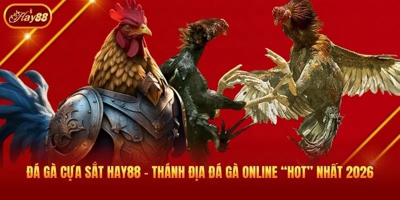 Đá Gà Cựa Sắt Hay88 - Thánh Địa Đá Gà Online “Hot” Nhất 2026