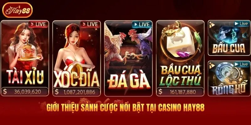 Giới thiệu sảnh cược nổi bật tại Casino Hay88