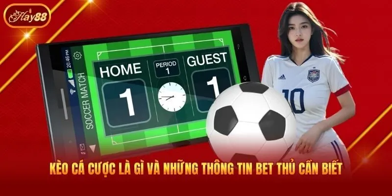 Kèo Cá Cược Là Gì Và Những Thông Tin Bet Thủ Cần Biết