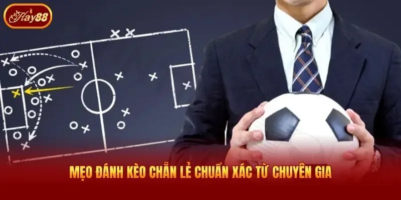 Mẹo đánh kèo chẵn lẻ chuẩn xác từ chuyên gia
