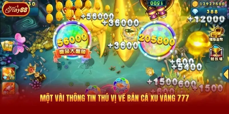 Một vài thông tin thú vị về Bắn cá xu vàng 777