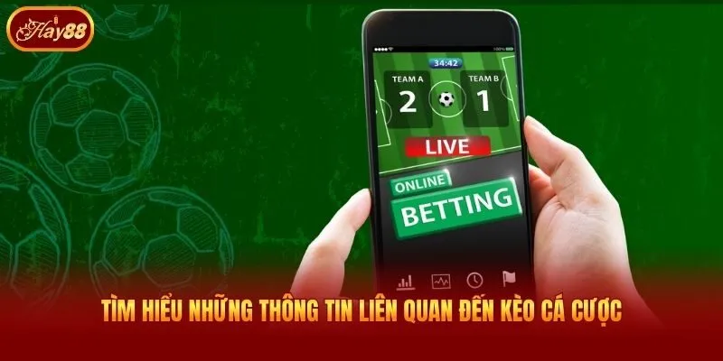 Tìm hiểu những thông tin liên quan đến kèo cá cược