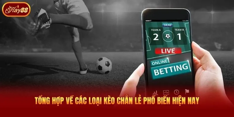 Tổng hợp về các loại kèo chẵn lẻ phổ biến hiện nay